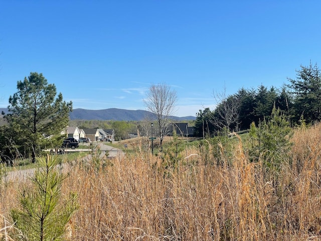 69 Barrows Hill Dr, Huddleston, VA 24104