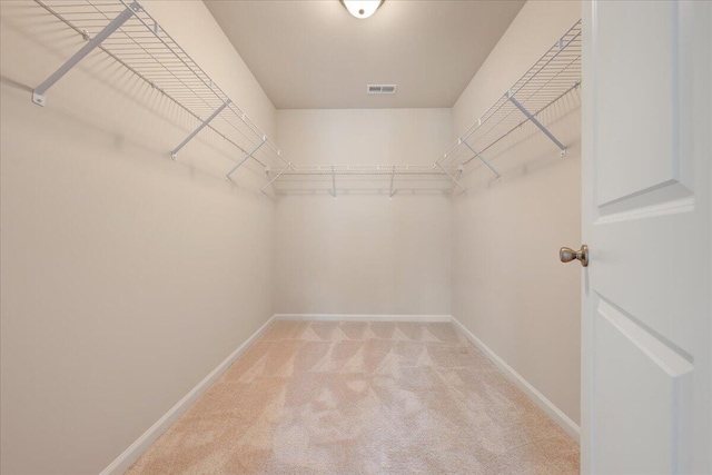 walk in closet with light colored carpet