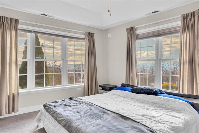 carpeted bedroom featuring multiple windows