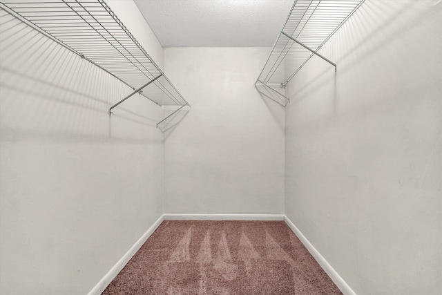 walk in closet with carpet