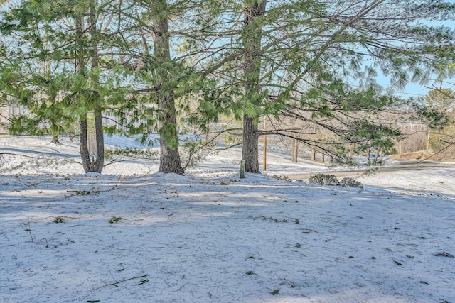 view of yard covered in snow