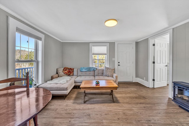 living room with crown molding, a wood stove, and plenty of natural light