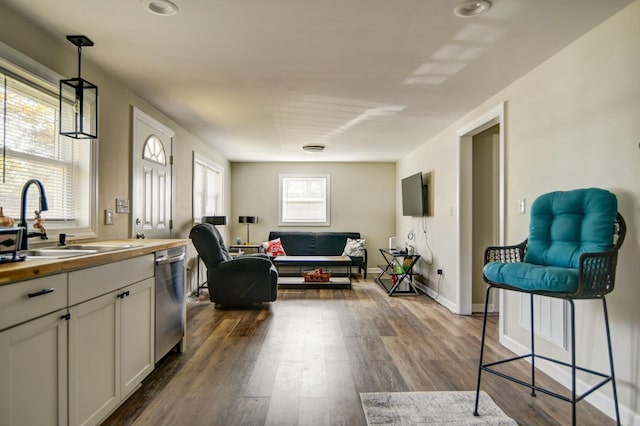 living room featuring sink and dark hardwood / wood-style floors