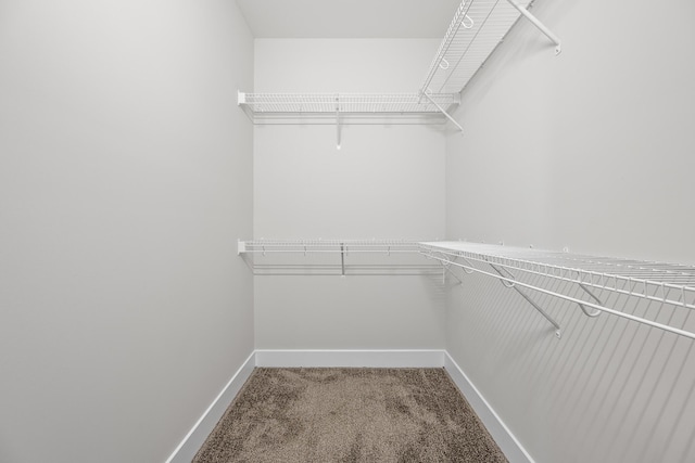 walk in closet with carpet