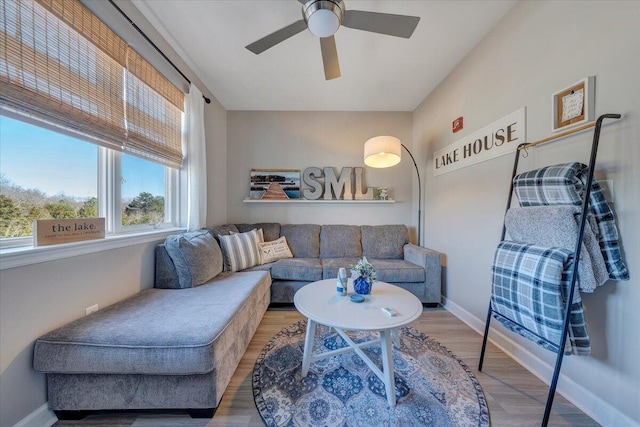 living room featuring ceiling fan and hardwood / wood-style floors