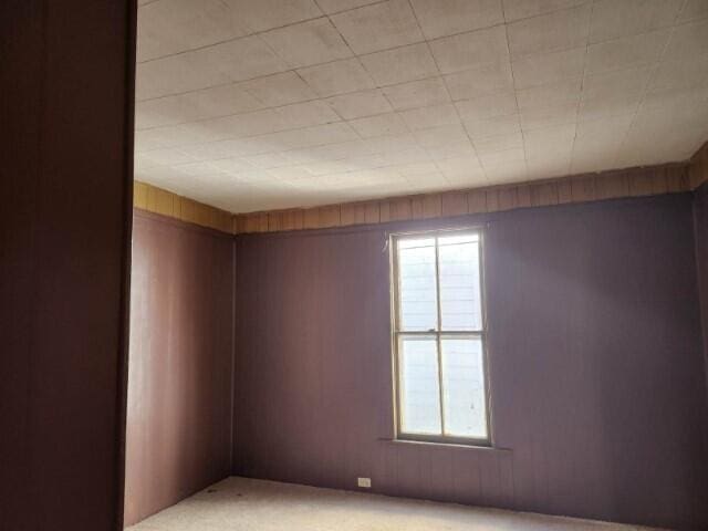 spare room with wooden walls, light carpet, and a wealth of natural light