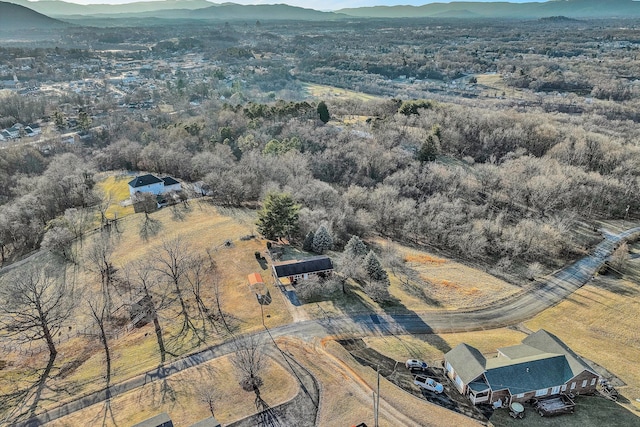 birds eye view of property with a mountain view