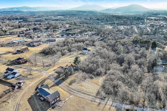 bird's eye view with a mountain view