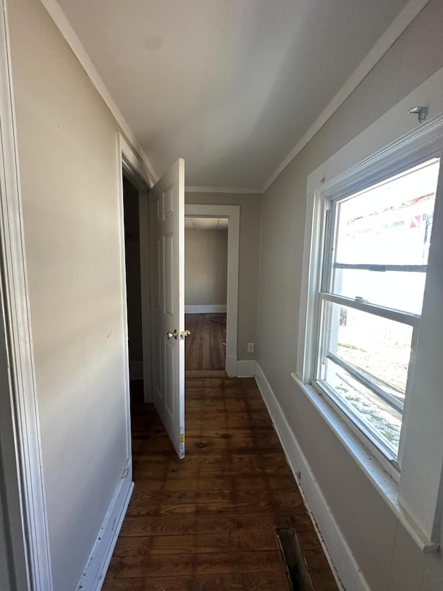 hallway featuring crown molding, a wealth of natural light, and dark hardwood / wood-style floors