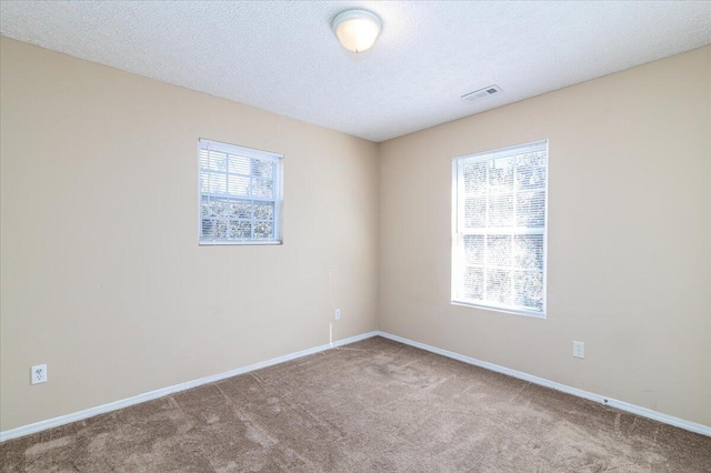 empty room featuring a textured ceiling, carpet floors, and a healthy amount of sunlight