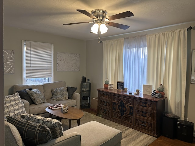 living room featuring hardwood / wood-style flooring and ceiling fan