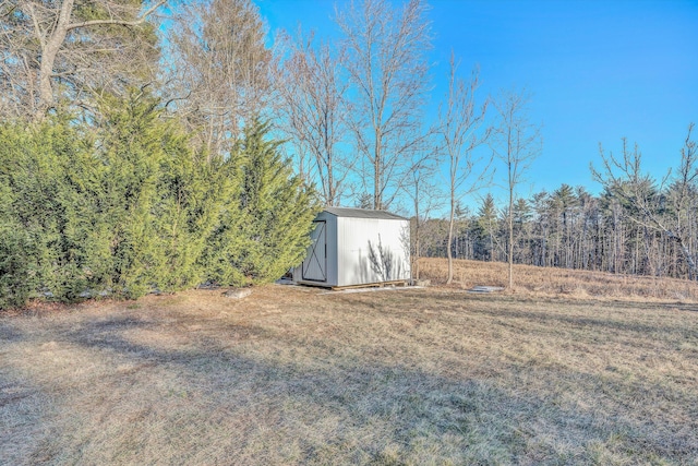 view of yard with a shed