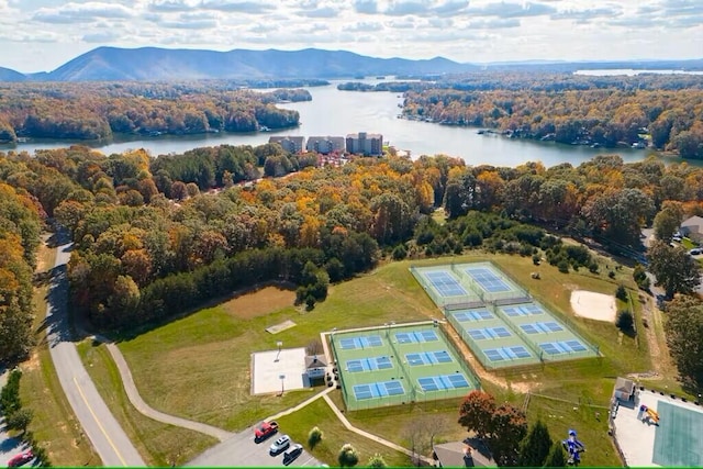 birds eye view of property featuring a water and mountain view