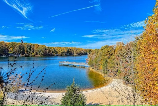 property view of water