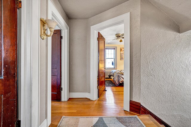 walk in closet with hardwood / wood-style floors