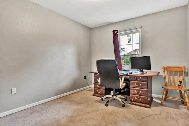 office featuring light carpet