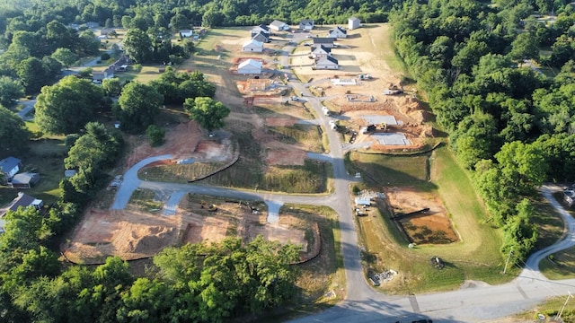 bird's eye view