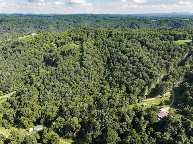 TBD Griffith Creek Road, Check VA, 24072 land for sale