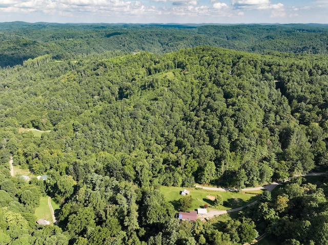 Listing photo 3 for TBD Griffith Creek Road, Check VA 24072