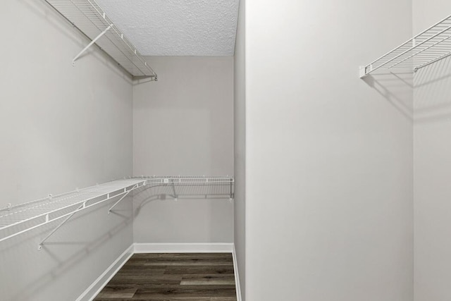 walk in closet featuring dark hardwood / wood-style floors