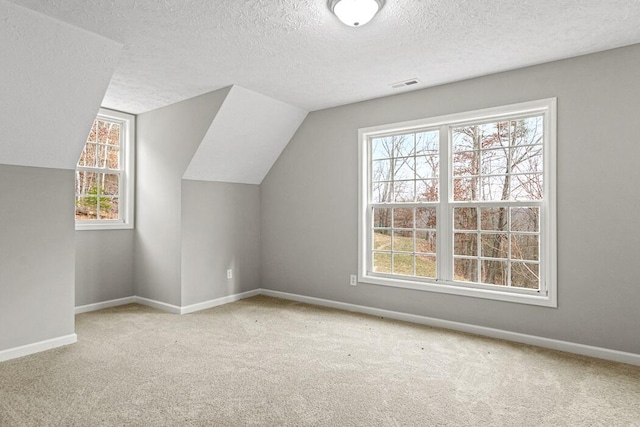 additional living space with light colored carpet, vaulted ceiling, and a textured ceiling