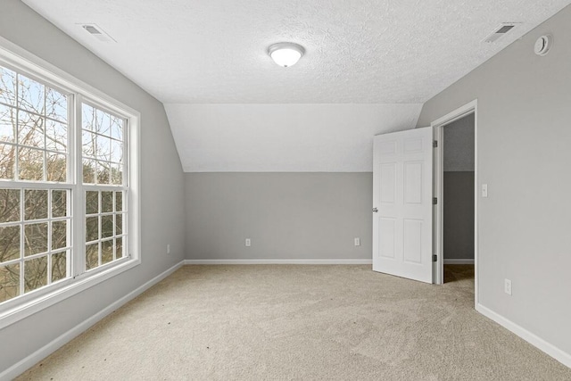 additional living space featuring lofted ceiling, light colored carpet, and a textured ceiling