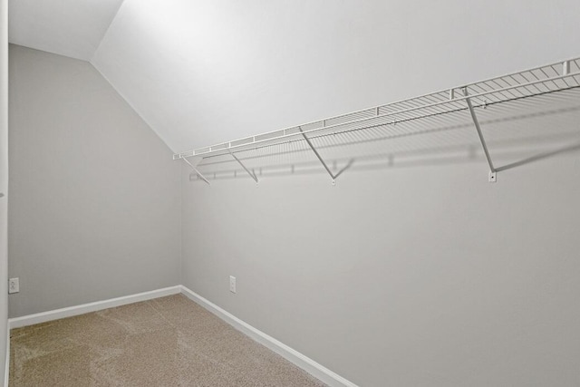 walk in closet with vaulted ceiling and carpet flooring