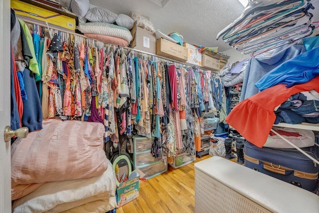 spacious closet with hardwood / wood-style floors