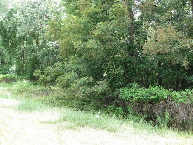 Listing photo 2 for LOT23 Camellia Pl, Moneta VA 24121