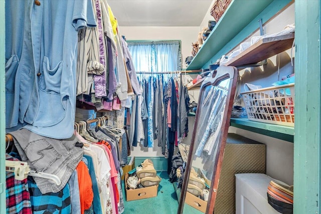 spacious closet with carpet