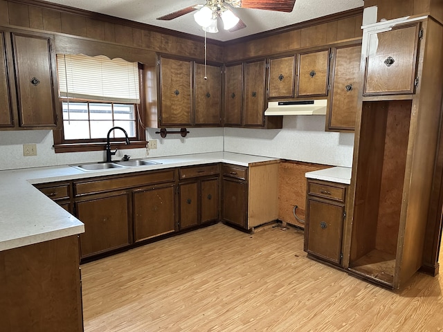 kitchen featuring dark brown cabinetry, light hardwood / wood-style floors, sink, ceiling fan, and crown molding