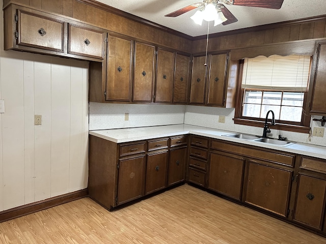 kitchen featuring light wood-type flooring, sink, crown molding, and dark brown cabinetry