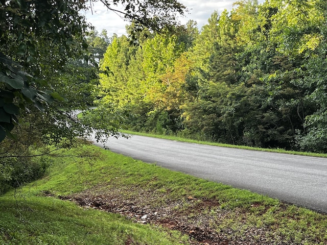 Listing photo 2 for LOT332 Bay View Rd, Lynch Station VA 24571