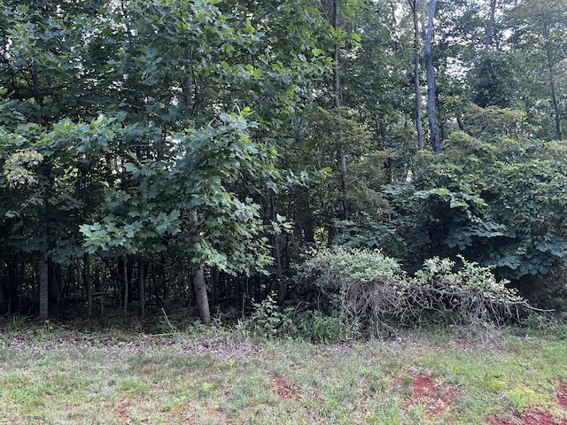 Listing photo 3 for LOT332 Bay View Rd, Lynch Station VA 24571