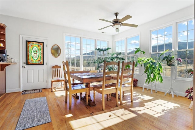 dining room with a mountain view, ceiling fan, and light wood-type flooring