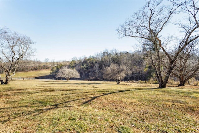 view of yard with a rural view