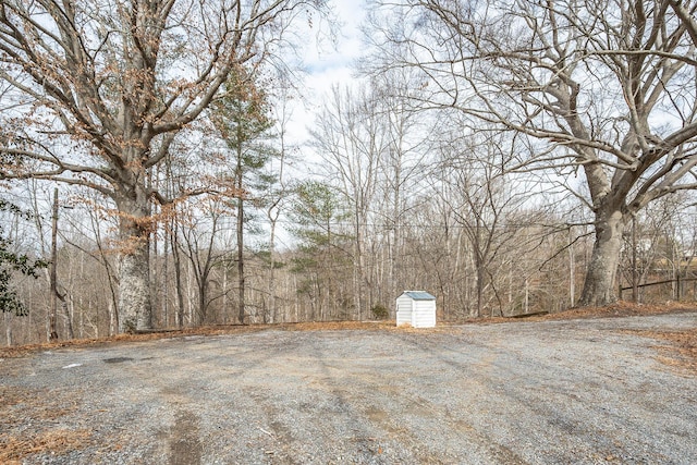 view of yard with a storage unit