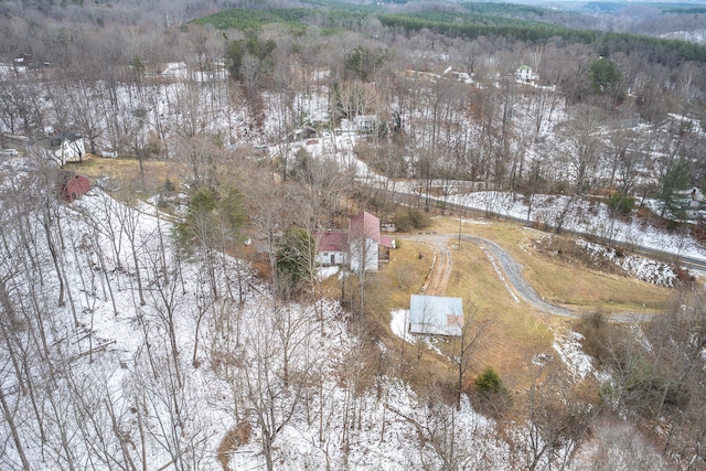 view of snowy aerial view