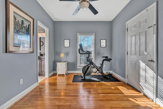 workout room featuring light hardwood / wood-style flooring and ceiling fan