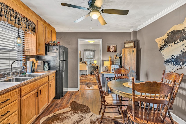 kitchen featuring dark wood-type flooring, plenty of natural light, crown molding, and sink