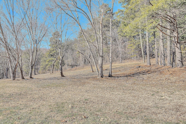 view of landscape