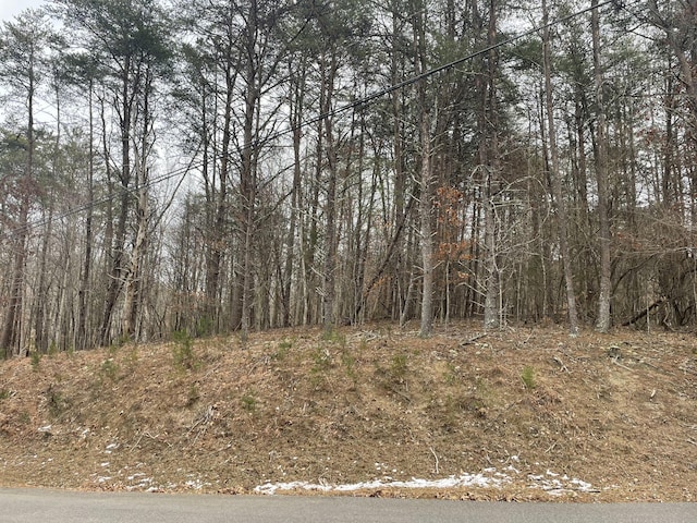 LOT62 Gap Bridge Rd, Moneta VA, 24121 land for sale