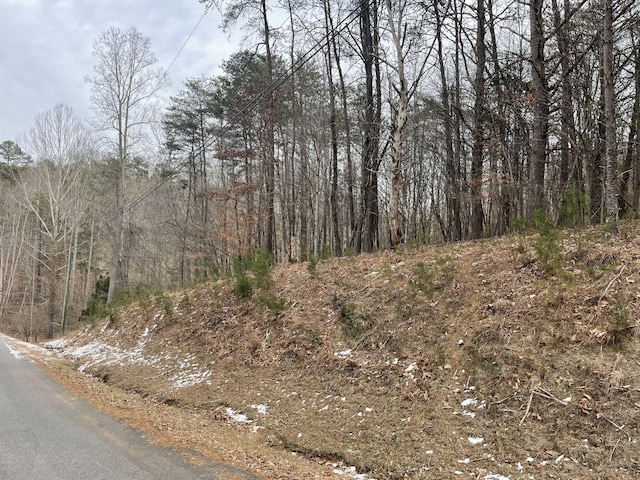 Listing photo 3 for LOT62 Gap Bridge Rd, Moneta VA 24121