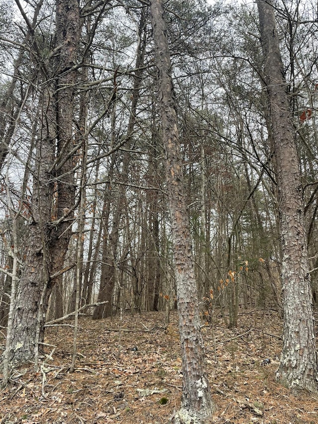 Listing photo 2 for LOT63 Gap Bridge Rd, Moneta VA 24121