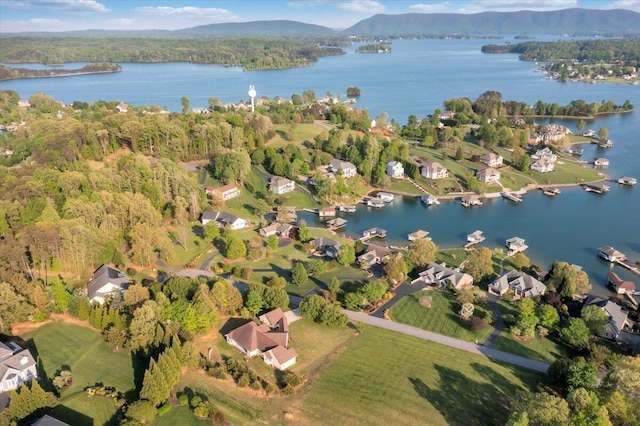 birds eye view of property with a water and mountain view