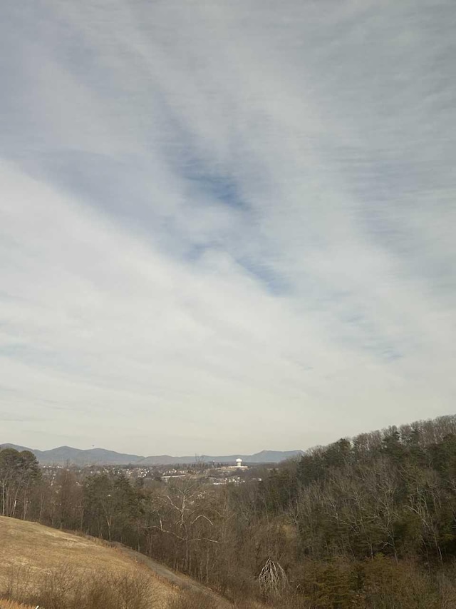 view of mountain feature