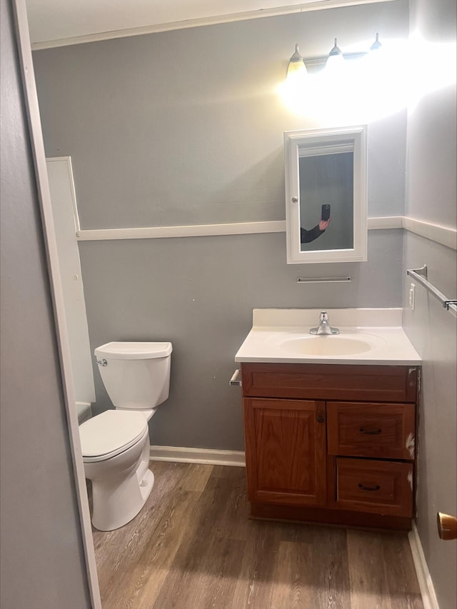 bathroom with vanity, wood-type flooring, and toilet