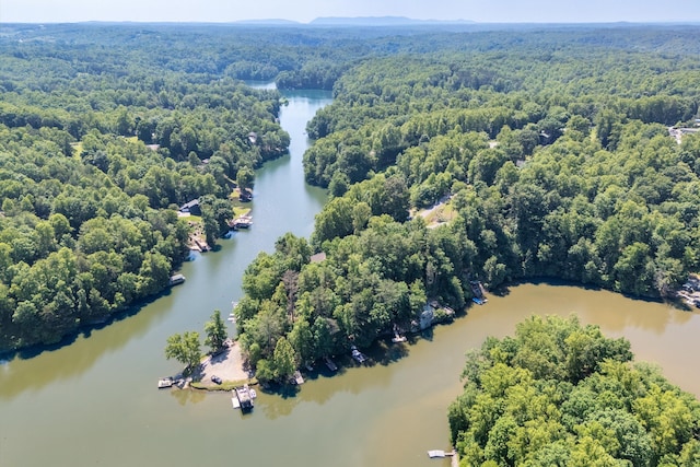 birds eye view of property with a view of trees and a water view