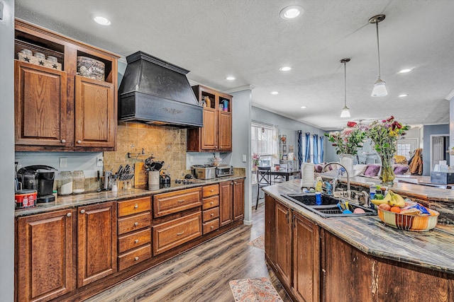 kitchen featuring wood finished floors, custom exhaust hood, open shelves, a sink, and tasteful backsplash