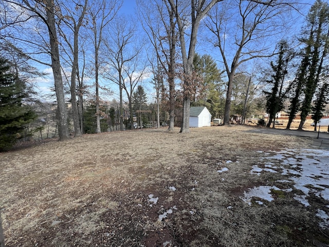 view of yard with a storage shed